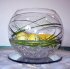 Goldfish bowl Vase